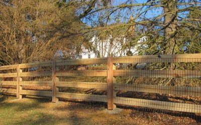 When to stain a new fence