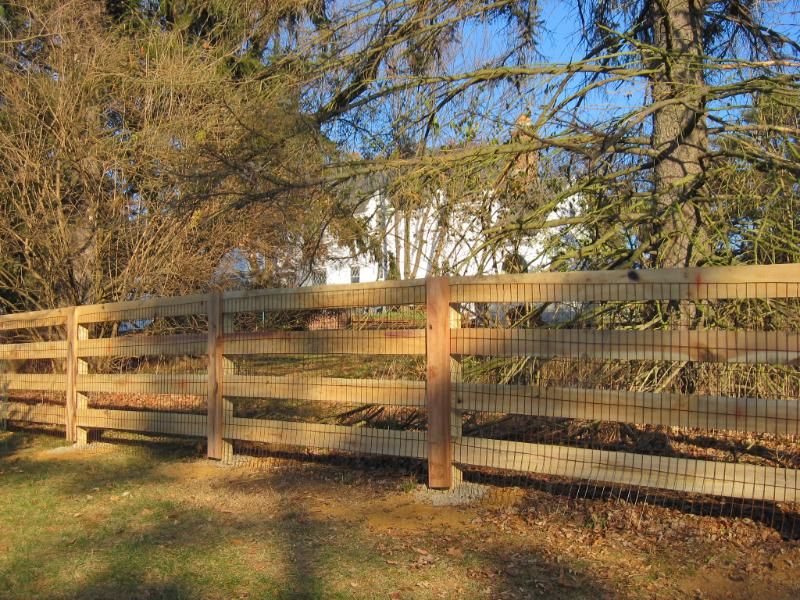 When to stain a new fence
