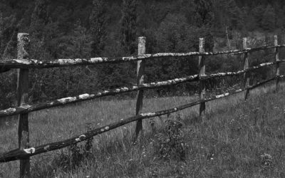 History Of Cincinnati Fence Construction
