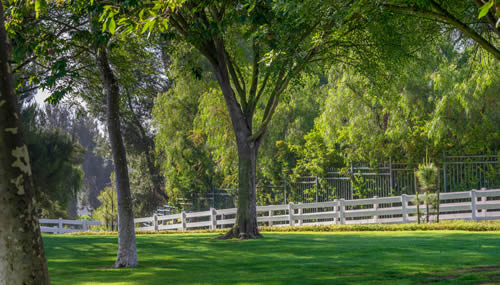 Vinyl & PVC Rail Fences from Fusion Fence in Cincinnati, OH