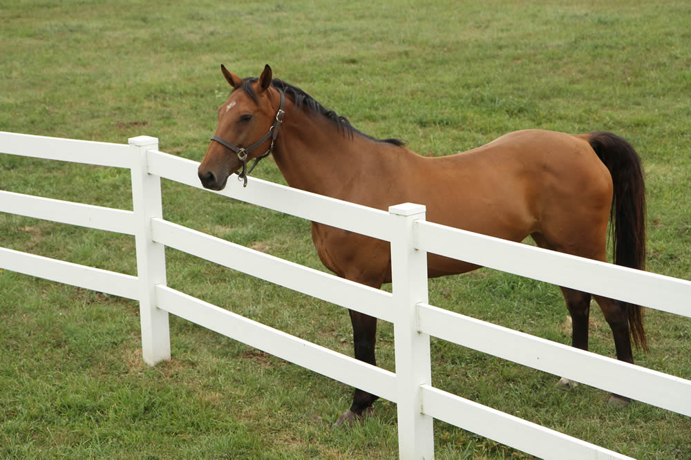 Kentucky Board Fences from Fusion Fences in Cincinnati, OH
