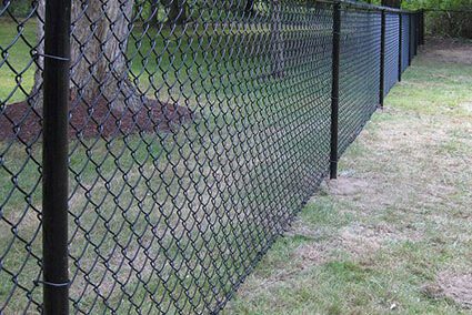 A black chain-link fence runs across a grassy yard with trees and shaded areas visible in the background.