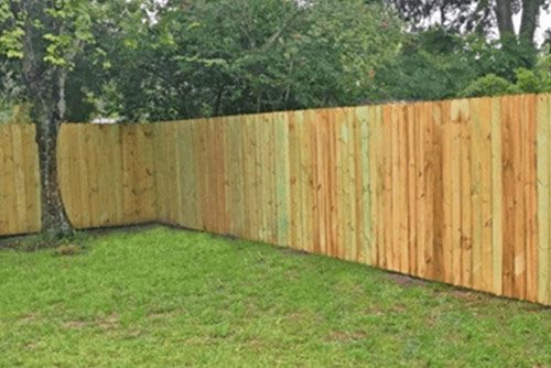 A wooden privacy fence runs along the edge of a grassy yard, with trees and greenery in the background.