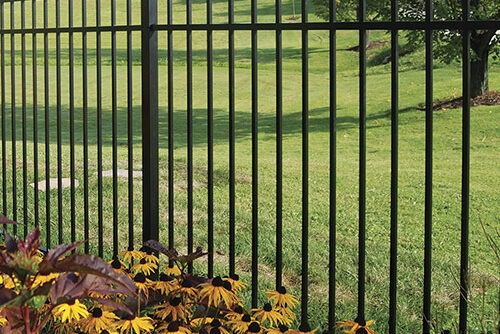 Black metal fence in front of a grassy lawn with yellow flowers and green plants in the foreground and a tree in the background.