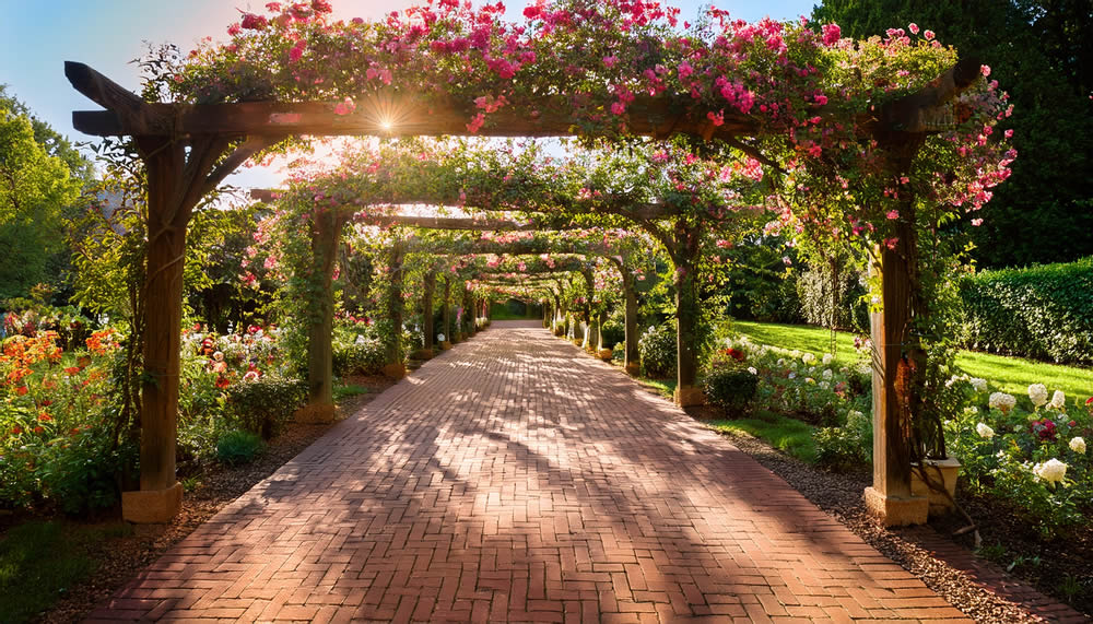 AdobeStock_1697222503 Transform Your Outdoor Spaces with Arbors & Pergolas from Fusion Fence Company serving Greater Cincinnati, OH, Northern Kentucky and Southeast Indiana