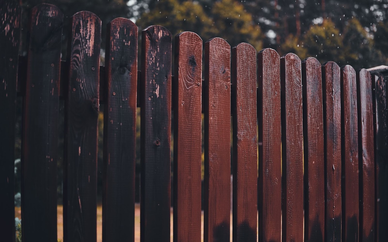 Close-up of a wooden fence with dark and reddish planks, set outdoors with blurred green trees in the background, highlighting the natural beauty you get when choosing wood in the vinyl vs. wood debate.