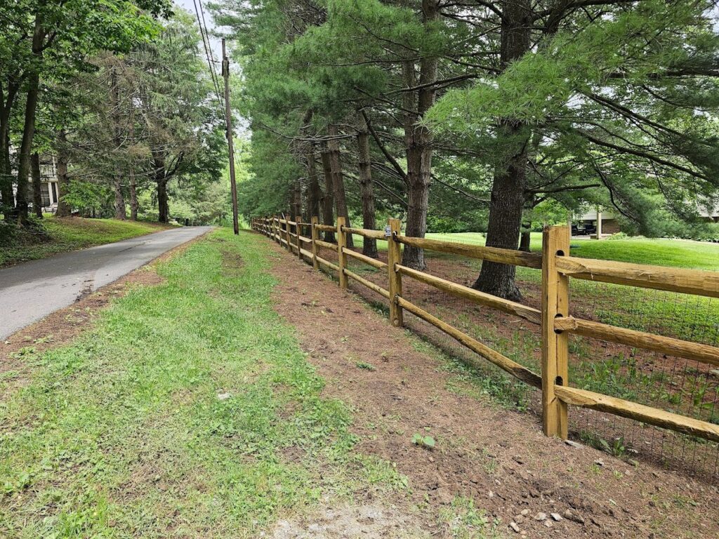 Wooden rail fence runs beside a quiet tree-lined road.