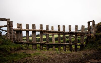 Signs Your Old Fence is Lowering Your Home Value