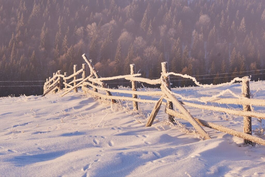 Frost-covered wooden fence lines a snowy hillside at sunrise.