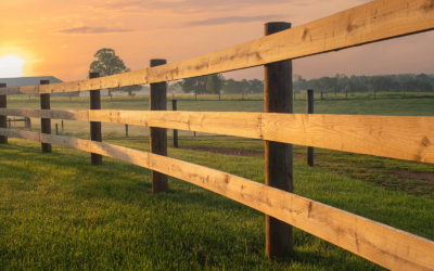 9 Fence Repair Warning Signs Every Cincinnati Homeowner Should Recognize